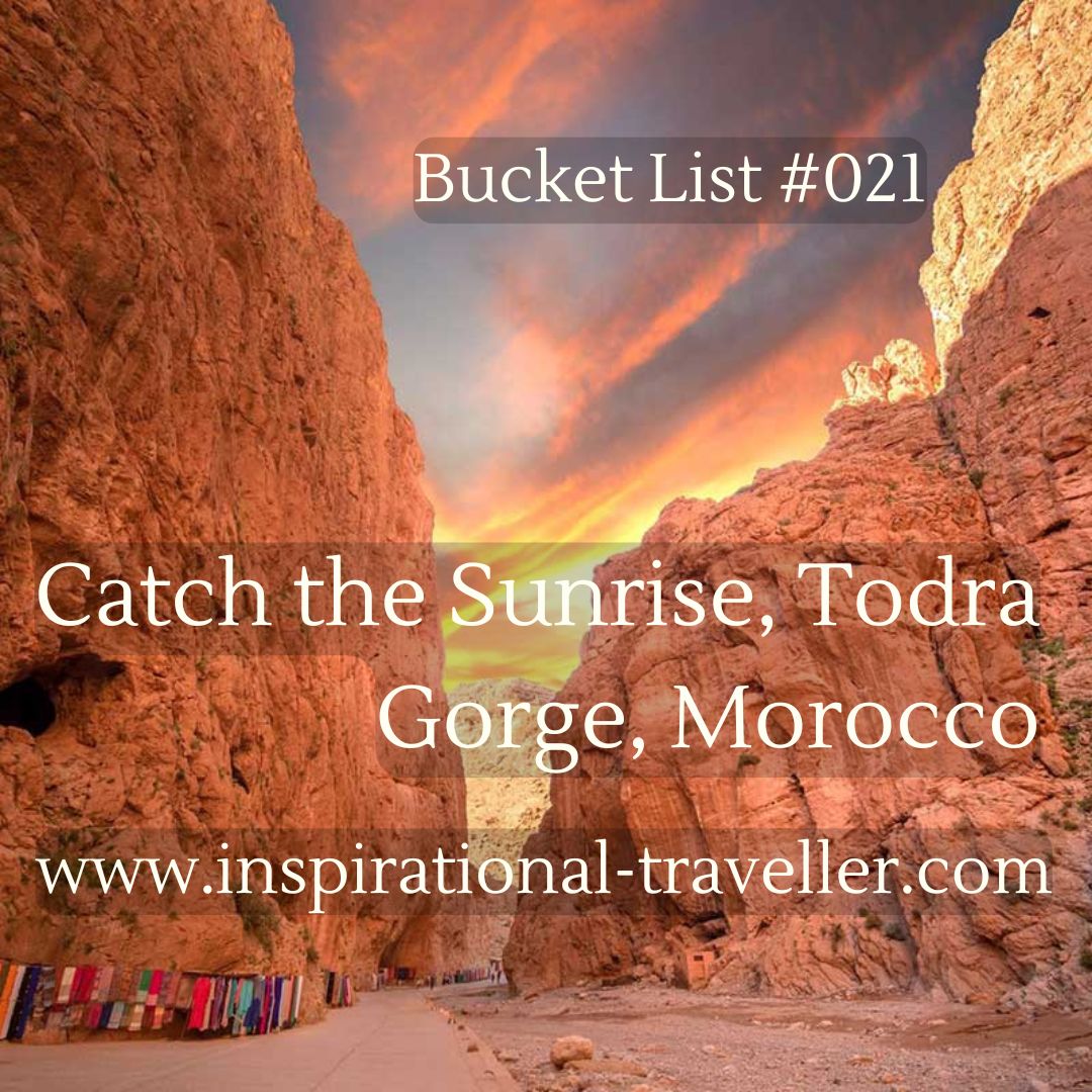 BucketTodraMob (1)